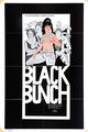 Film - The Black Bunch