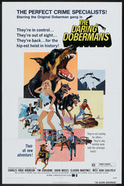 Poster The Daring Dobermans