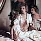 Foto 17 Dracula cerca sangue di vergine... e morì di sete!!!