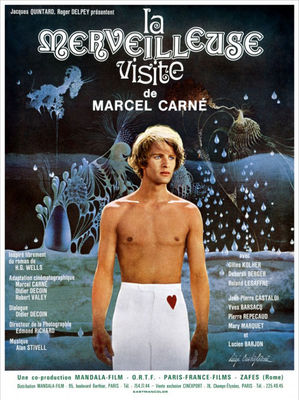 La merveilleuse visite poster