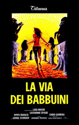 La via dei babbuini poster