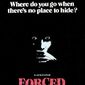 Poster 3 Forced Entry