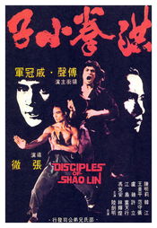 Poster Hong quan xiao zi