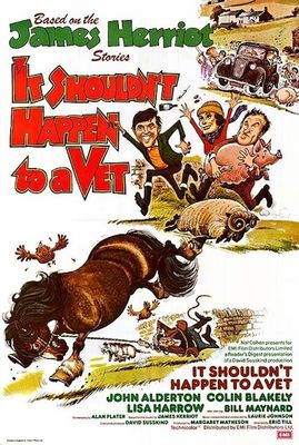It Shouldn't Happen to a Vet poster