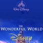 Poster 1 The Wonderful World of Disney