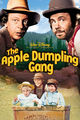 Film - The Apple Dumpling Gang