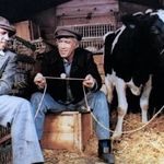 Imagine din galeria filmului Bluff storia di truffe e di imbroglioni