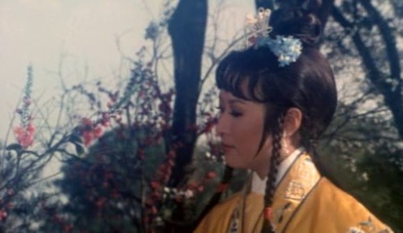 Feng yu shuang liu xing