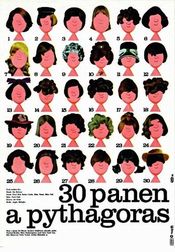 Poster 30 panen a Pythagoras