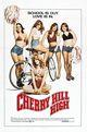 Film - Cherry Hill High