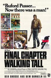 Poster Final Chapter: Walking Tall