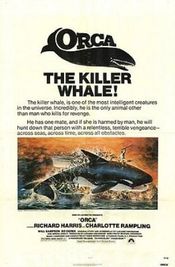 Poster Orca