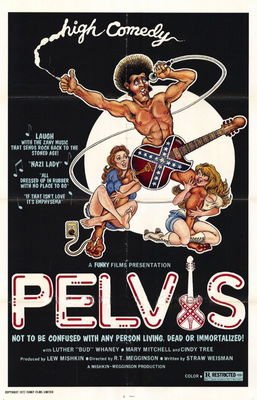 Pelvis poster