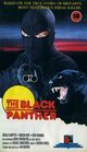 Film - The Black Panther