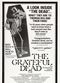 Film The Grateful Dead