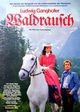 Film - Waldrausch