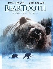 Poster Beartooth