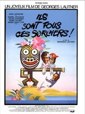 Poster Ils sont fous ces sorciers