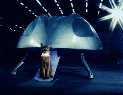 The Cat from Outer Space