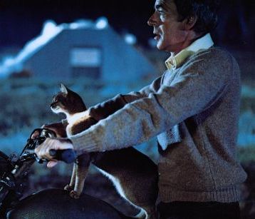 The Cat from Outer Space