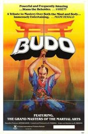 Poster Budo