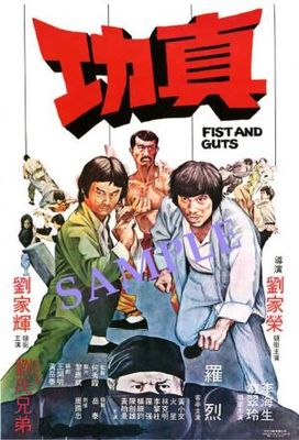 Yi dan er li san gong fu poster