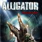 Poster 6 Alligator