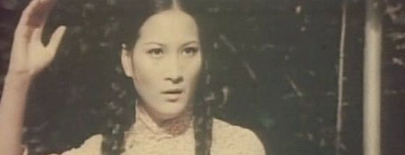 Guangdong shi hu xing yi wu xi