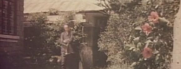 Guangdong shi hu xing yi wu xi