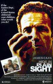 Poster Hide in Plain Sight