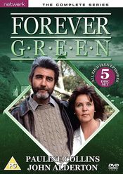 Poster Forever Green