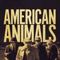 Poster 4 American Animals