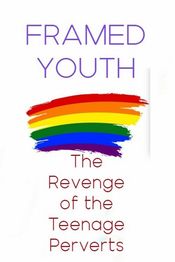 Poster Framed Youth: The Revenge of the Teenage Perverts