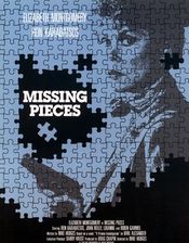 Poster Missing Pieces