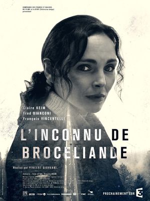 L'Inconnu de Brocéliande poster