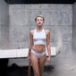 Miley Cyrus: Wrecking Ball/Miley Cyrus: Wrecking Ball