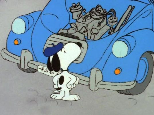 What Have We Learned, Charlie Brown?