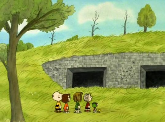 What Have We Learned, Charlie Brown?