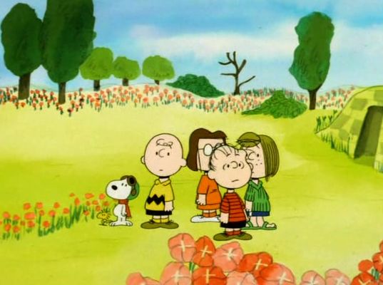 What Have We Learned, Charlie Brown?