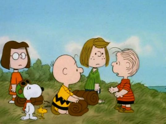 What Have We Learned, Charlie Brown?