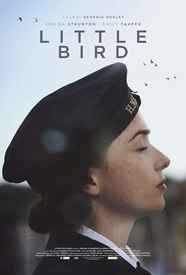 Little Bird poster