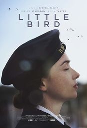 Poster Little Bird