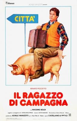 Il ragazzo di campagna poster