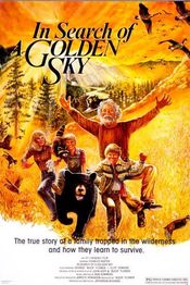 Poster In Search of a Golden Sky