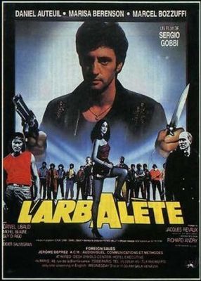 L'arbalète poster