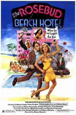 The Rosebud Beach Hotel poster