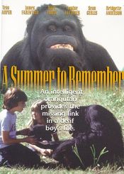 Poster A Summer to Remember