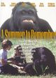 Film - A Summer to Remember