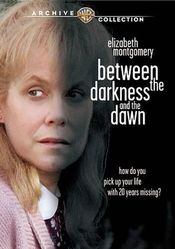 Poster Between the Darkness and the Dawn