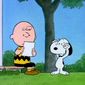 Foto 24 Snoopy's Getting Married, Charlie Brown